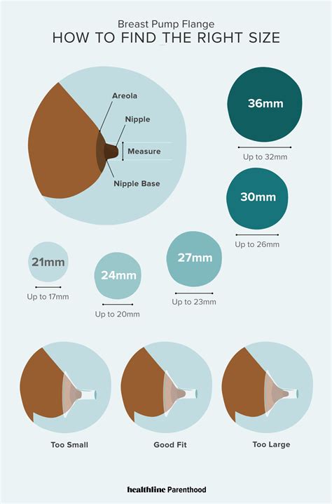 Large Areola: Average Size, Breastfeeding and Menstruation Effects